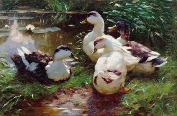 Four Ducks - view 1