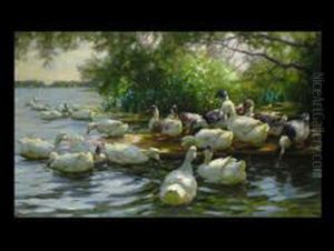 Enten Unter Baumen by Alexander Max Koester