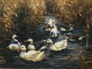Zehn Enten Im Herbstschilf.