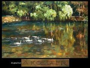 Enten Im Parkteich