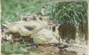 Enten Am Wasser. by Alexander Max Koester