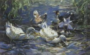 Funf Enten Auf Sonnigem
 Schilfwasser. by Alexander Max Koester