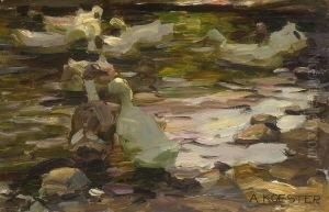 Enten Im Wasser. Enten Im Wasser.