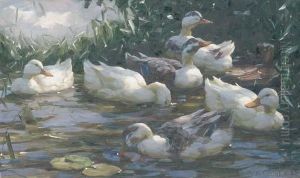 Ducks On A Lake by Alexander Max Koester