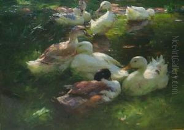 Acht Enten Am Ufer Eineteiches. Unten Rechts Signiert A. Koester - view 1