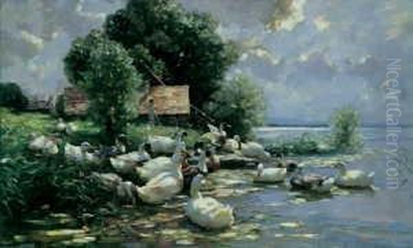 Zweiundzwanzig Enten Am Ufer Des Bodensees. - view 1