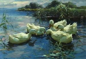 Funf Weise Enten Im
 Schilfwasser.