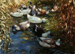 Ducks Along Riverbank Ducks Along Riverbank