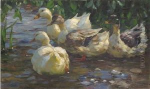 Weisse Enten Am Fluss by Alexander Max Koester