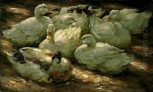 Acht Ruhende Enten. by Alexander Max Koester
