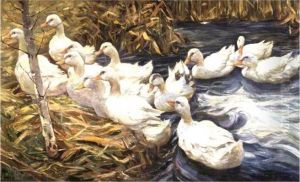 Enten Beim Verlassen Des Teiches Enten Beim Verlassen Des Teiches