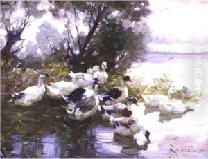 Ducks