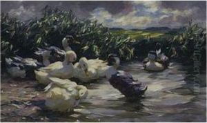 Seven Ducks In A Pond by Alexander Max Koester