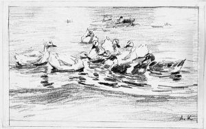 Enten Auf Offenem Wasser