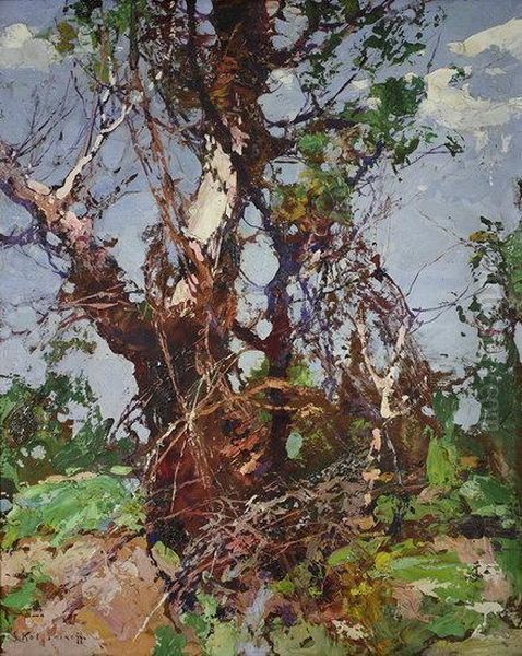 Trees - view 1