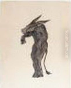 Costume Design For The Little Humpback Horse