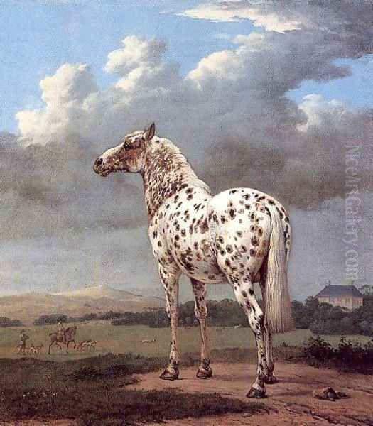 The Piebald Horse 1650-54 by Paulus Potter
