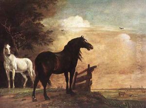 Horses in a Field by Paulus Potter