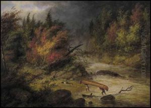 The Storm (portage)