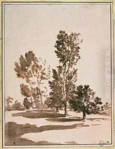 Tree Study by Nicolas Poussin