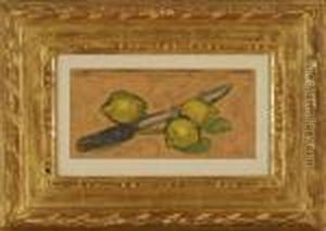 Still Life Of Limes And A Knife Still Life Of Limes And A Knife