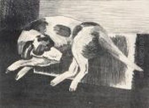 Dog Dog