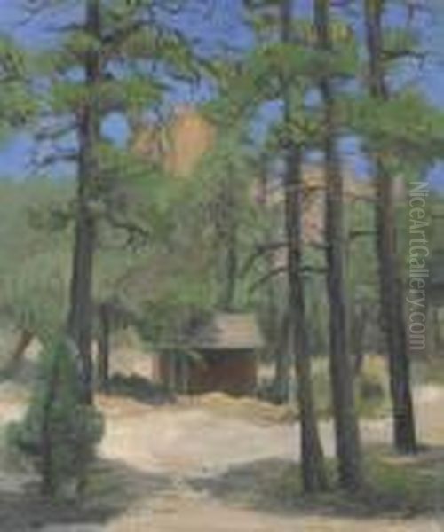 Cabin In The Pines - view 1