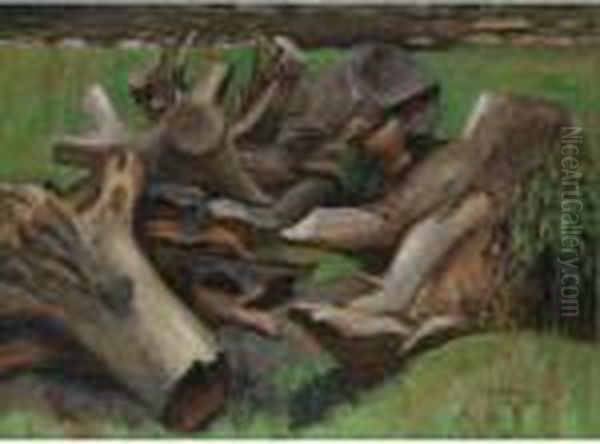 Stumps - view 1