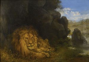 Two Lions In A Cave