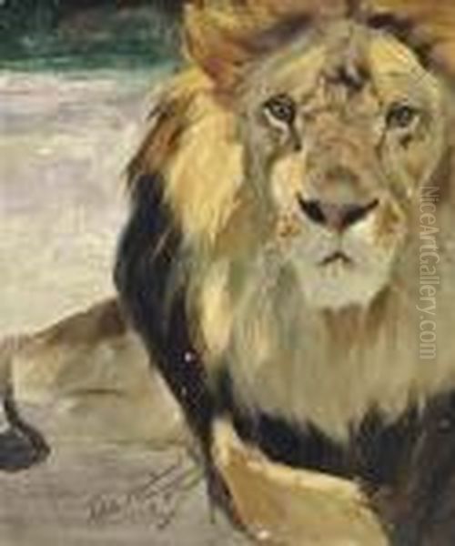 Resting Lion, A Study - view 1
