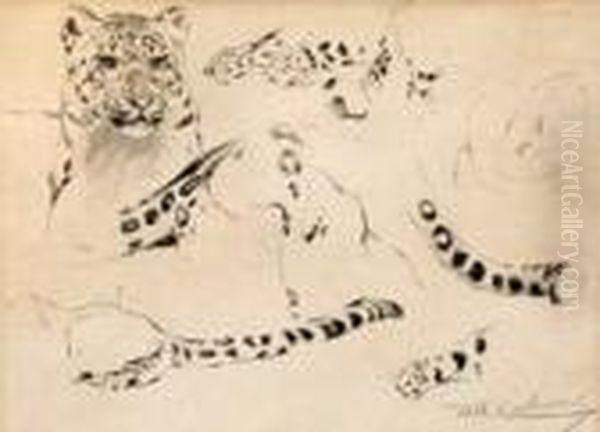 Skizzenblatt Mitleopardenstudien - view 1