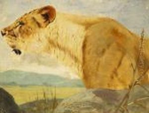 Kopf Einer Lowin by Wilhelm Kuhnert