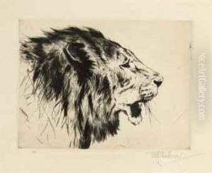 A Lion's Head by Wilhelm Kuhnert