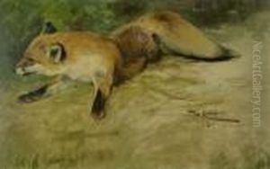 Liegender Fuchs by Wilhelm Kuhnert