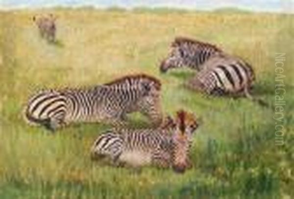 Ruhende Zebras - view 1