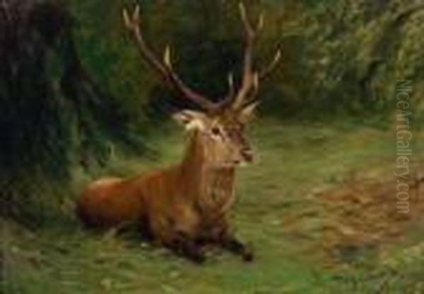 Stag - view 1