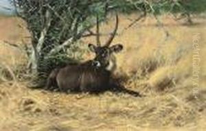 Water Buck In The Bush by Wilhelm Kuhnert