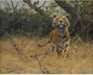 Sichernder Tiger (tiger On The Watch) by Wilhelm Kuhnert