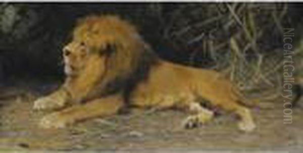 Lowe Im Versteck (lion In His Den) - view 1