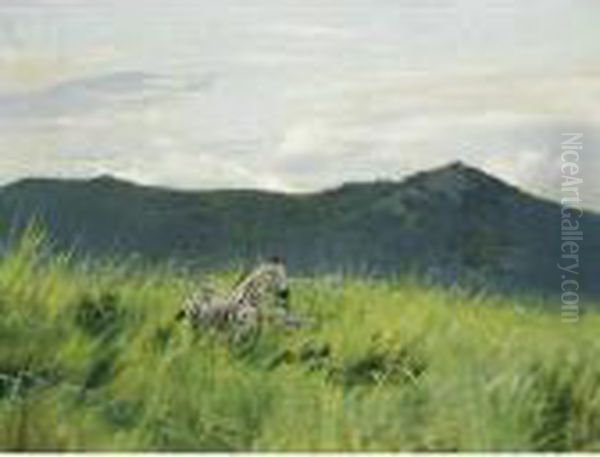 Zebras In Der Steppe (zebra On The Steppe) - view 1