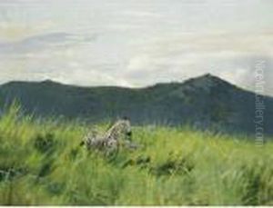 Zebras In Der Steppe (zebra On The Steppe)