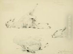 Eland Study Eland Study
