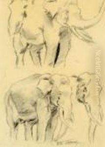 Elephants Elephants