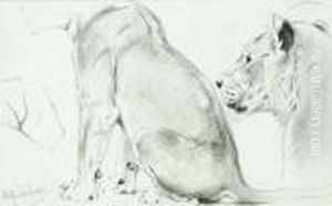 African Lions Study by Wilhelm Kuhnert