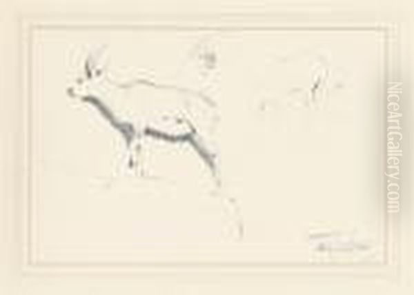 Studies Of Mountain Goats - view 1
