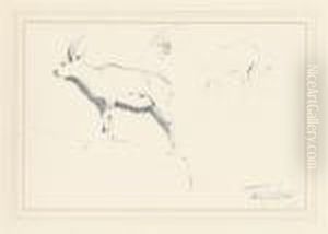 Studies Of Mountain Goats by Wilhelm Kuhnert