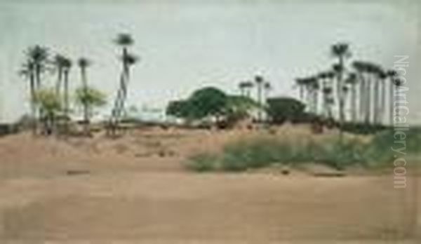 Oase - view 1