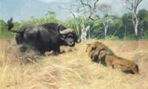 Buffalo And Lion Before The Fight by Wilhelm Kuhnert