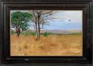 Ostafrikanische Landschaft