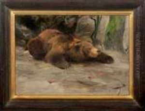 Liegender Grizzlybar by Wilhelm Kuhnert